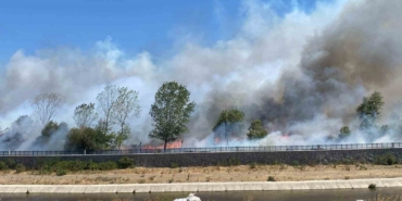 Ayvacık’ta çöplük alanda çıkan yangın ormana sıçradı