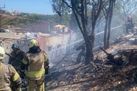 Ümraniye’de ağaçlık alanda çıkan yangın paniğe neden oldu
