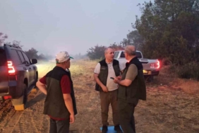 Çanakkale Valisi Toraman yangından etkilenen köyde incelemelerde bulundu