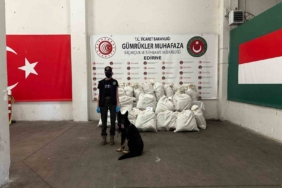 Kapıkule’de 245 kilo esrar ele geçirildi: 2 gözaltı