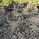 Kocaeli’deki orman yangını 1 saatlik müdahaleyle kontrol altına alındı