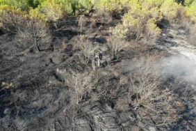 Kocaeli’deki orman yangını 1 saatlik müdahaleyle kontrol altına alındı