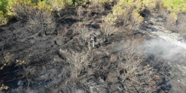 Kocaeli’deki orman yangını 1 saatlik müdahaleyle kontrol altına alındı