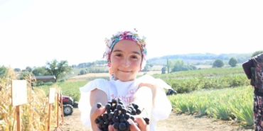 Aronya yetiştiriciliğinde Türkiye 3’üncüsü olan Çanakkale’de ilk hasat gerçekleştirildi