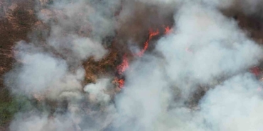 Kocaeli’de orman yangınına havadan ve karadan müdahale: Alevler evlere de sıçradı