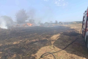 Erdek’te zeytinlik ve otluk alanda çıkan yangın söndürüldü