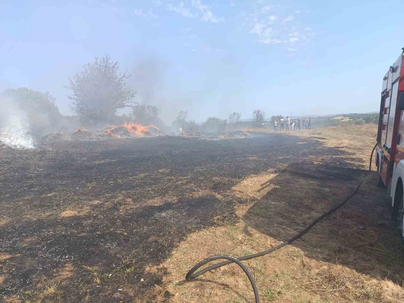 Erdek’te zeytinlik ve otluk alanda çıkan yangın söndürüldü