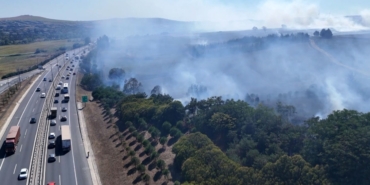 İstanbul’da ağaçlık alanda ve çiftlikte yangın çıktı