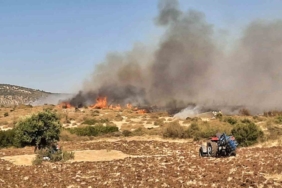 Ezine’de başlayan orman yangını kontrol altına alındı