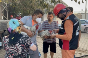 Saçaklı köyünde evi ve damı yanan kadının dumandan etkilenen tavuklarının yardımına ekipler ve gönüllüler koştu