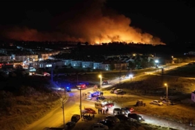 Edirne’de orman yangını: Alevlerin evlere sıçramasına ramak kaldı