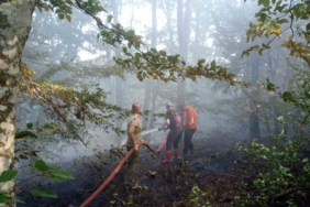 Kırklareli’de orman yangını kısa sürede söndürüldü