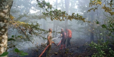 Kırklareli’de orman yangını kısa sürede söndürüldü