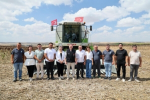 Silivri’de yaklaşık bin 500 dekar alanda ayçiçeği hasadı başladı