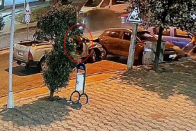 Alkollü sürücü 4 araca çarparak durabildi: Köpeği can havliyle camdan fırladı