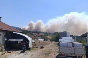 Kocaeli’de orman yangını başladı