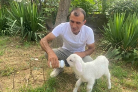 Annesiz kalan 12 günlük kuzuyu evinde evladı gibi büyütüyor