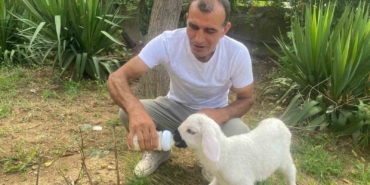 Annesiz kalan 12 günlük kuzuyu evinde evladı gibi büyütüyor