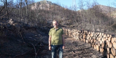 Gürsu’da milli ağaçlandırma gününde kampanya düzenlenecek