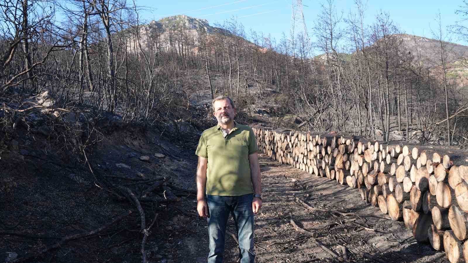 Gürsu’da milli ağaçlandırma gününde kampanya düzenlenecek