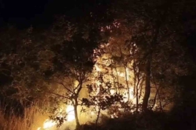 Çöplükte başlayan yangın araziye sıçradı