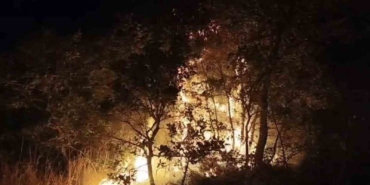 Çöplükte başlayan yangın araziye sıçradı