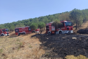 Susurluk’ta orman yangını kontrol altına alındı