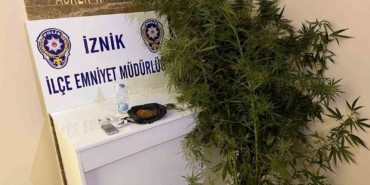 Bahçesinde hint keneviri yetiştiren kişiler tutuklandı