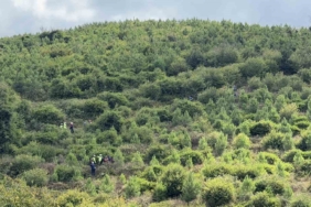 Arnavutköy’de kaybolan 90 yaşındaki Yusuf Bayraktar ormanlık alanda ölü bulundu