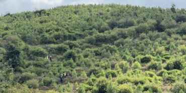 Arnavutköy’de kaybolan 90 yaşındaki Yusuf Bayraktar ormanlık alanda ölü bulundu