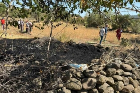 Sındırgı’da ot yangını bahçedeki yapıya sıçradı