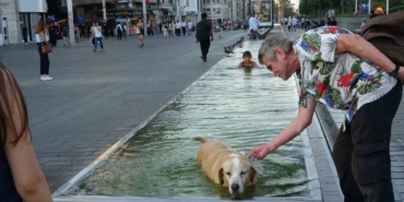 Taksim’de sıcak havadan bunalan çocuk ve köpek süs havuzunda serinledi