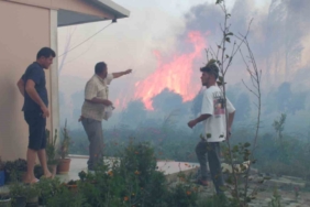 Balıkesir’de sazlık yangını 995 haneli siteyi duman altından bıraktı