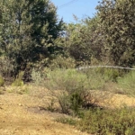 Çekmeköy’de ormanlık alanda çıkan yangın söndürüldü