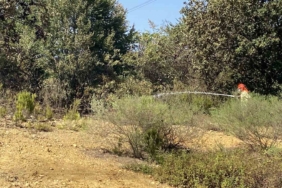 Çekmeköy’de ormanlık alanda çıkan yangın söndürüldü