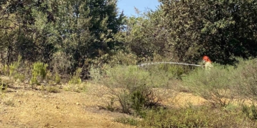 Çekmeköy’de ormanlık alanda çıkan yangın söndürüldü