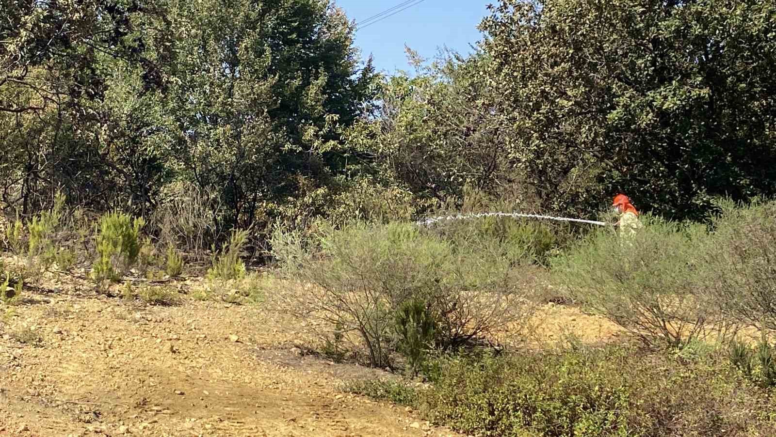 Çekmeköy’de ormanlık alanda çıkan yangın söndürüldü