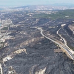 Çanakkale’de yangından geriye bu acı tablo kaldı