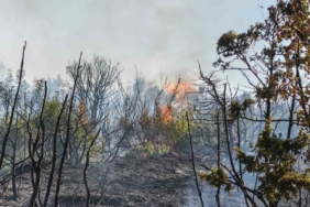 Malkara’da makilik alanda yangın