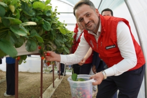 528557493_1356580946467544_2694197320337130773_n