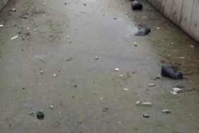 Gemlik körfezi çöplüğe döndü