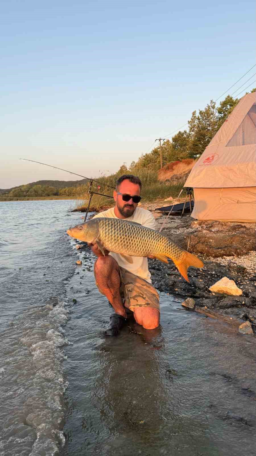 Sapanca Gölü’nde 13 kilo sazan yakaladı: Öpüp suya geri saldı