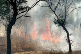 Çorlu’da ormanlık alanda korkutan yangın