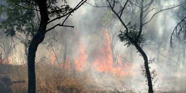 Çorlu’da ormanlık alanda korkutan yangın