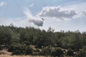 Edirne’de çıkan yangın ormanlık alana sıçradı: Havadan ve karadan müdahale ediliyor