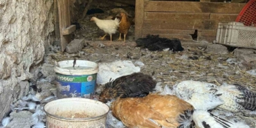 Kadın girişimcinin 22 yıllık emeği bir gecede yok oldu