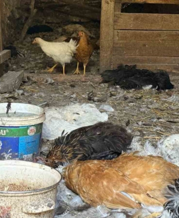 Kadın girişimcinin 22 yıllık emeği bir gecede yok oldu