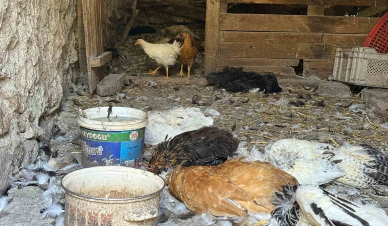 Kadın girişimcinin 22 yıllık emeği bir gecede yok oldu