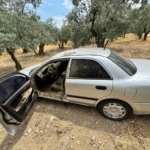 Balıkesir’de çalınan otomobil zeytin tarlasında bulundu