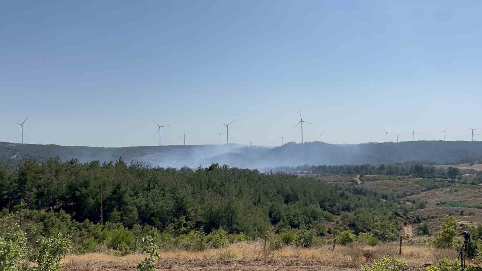 Çanakkale’deki orman yangını kontrol altında